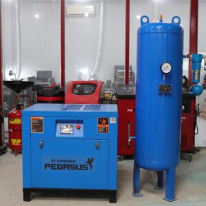 Máy nén khí trục vít Pegasus TMPM-10HP